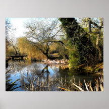 Flamingo enclosure in winter poster