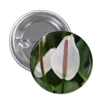 Flamingo Flower Button
