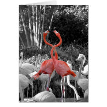 flamingo greeting card