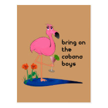 Flamingo on Vacation Post Card