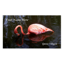 Flamingo Reflects Business Card Template