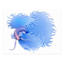 Flaring Betta Splendens Postcard