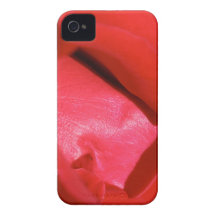 Flesh of a Rose iPhone 4 Cover