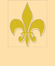 fleur-de-lis shirts