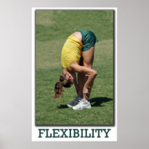 Flexibility Poster