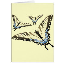 Flight of the Butterfly Greeting Cards