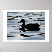Floating Along Poster
