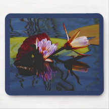 Floating Beauties (water lillies) mousepad