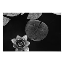 Floating In Darkness. Photograph