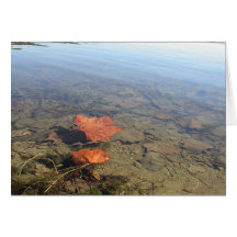 Floating Leaves Card
