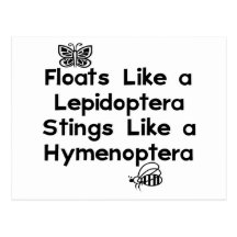 Floats Lepidoptera Post Cards