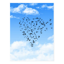 Flock of Birds Love Heart Postcards