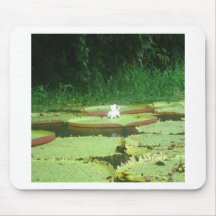 flor de un día mousepad