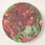 Flora Coaster