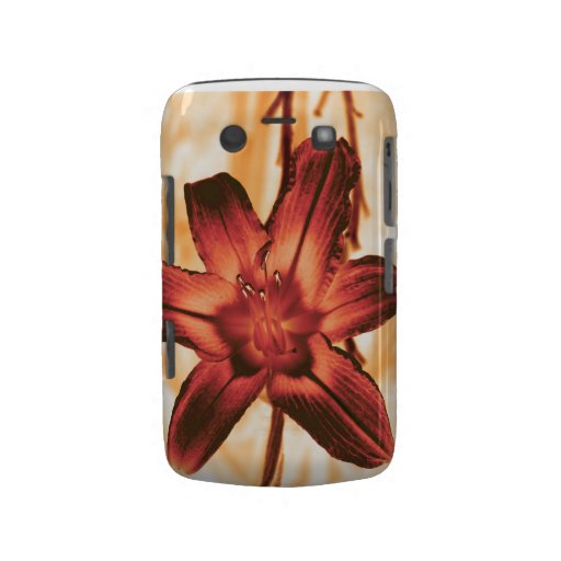 floral blackberry case