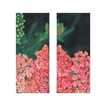 floral canvas prints