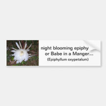 floral creations bumper sticker
