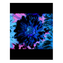 Floral Enigma 1 Post Card