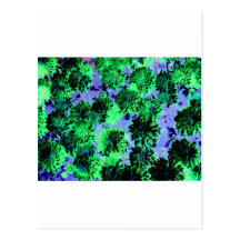 Floral Enigma 2 Postcard