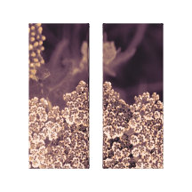 floral gallery wrapped canvas