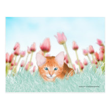 Floral Kitten Postcard