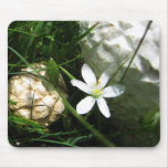 floral mouse pads