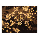 floral photo