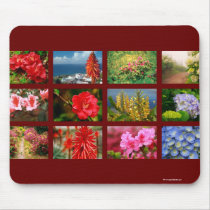 Floral photography mousepads