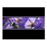 Floral Purple Black And White Postcard