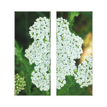 floral stretched canvas print