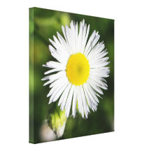 floral stretched canvas prints