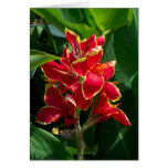Floral Sympathy Card