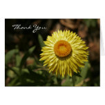 Floral Thank You Cards
