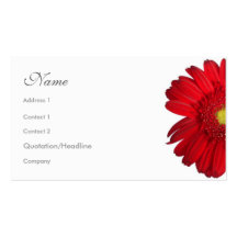 Florals - Red Daisy Business Card