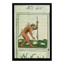 Florentine Codex' by Bernardino de Sahagun posters