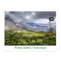 Flores island / Indonesia Post Card