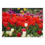 Floriade 2010 - 04 card