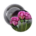 Floribunda 'Angel Face' Roses Pins
