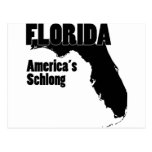 Florida America's Schlong Map Postcard