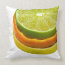 Florida Citrus Pillow