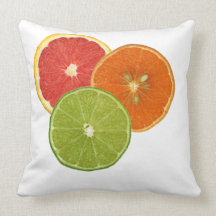 Florida Citrus Pillow