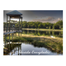 Florida Everglades Postcards