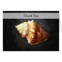 Florida Fighting Conch Greeting Cards