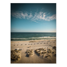 Florida Gulf of Mexico Post Card