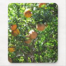 Florida Orange Tree Mouse Pads