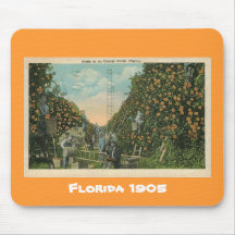 Florida Oranges Mousepad