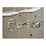 Florida Seashell Postcard