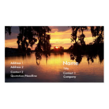 Florida Sunset Business Card Profile Card Photo
