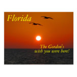 Florida Sunset postcard