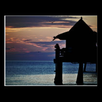 Florida wish you where here postcards